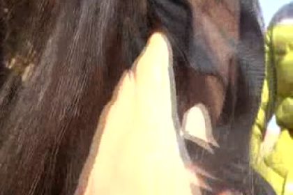 私人定制野外3P絲襪情趣裝學妹無水印完整版