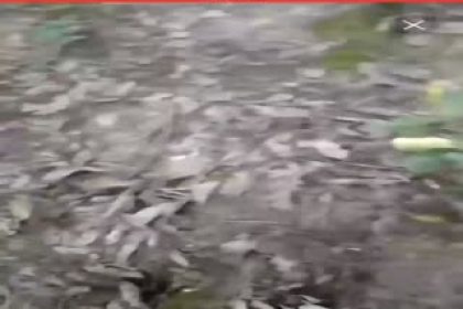 穿著解放鞋的鄉巴佬男主播帶著兩個村姑到山上野戰白天幹到晚上聽口音是廣西那邊的