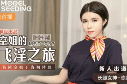 麻豆-空姐的飛淫之旅負債空姐下海初體驗-陳美琳