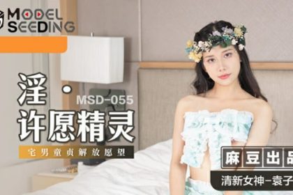 麻豆-淫之許愿精靈-袁子儀